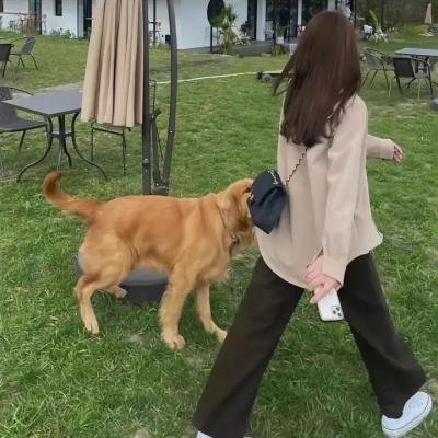 连锁杀机